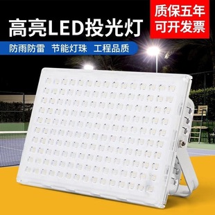 Led Ant Flood Light Outdoor Lighting Spotlight Strong Light Super Bright Workshop Site Special Light Advertising Free Shipping