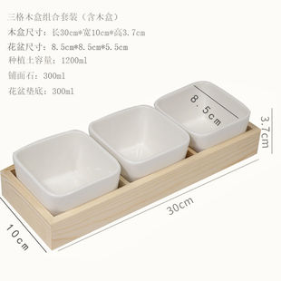 Fleshy Plant Small Flower Pot suit Ceramic Cute Personality Creative with Tray Rectangular Old Pile Porcelain Ping Run