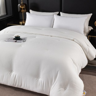 Five-star hotel quilt sanding quilt core hotel guest room special spring and autumn quilt homestay thickened feather silk cotton four seasons quilt