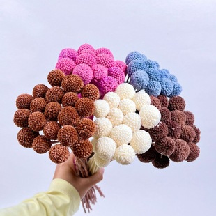 Dried flower golden ball immortal golden ball diy dried flower creative decoration ins bouquet props production