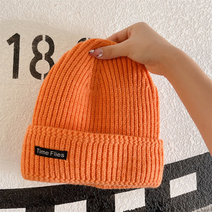 Couple's Autumn and Winter Warm Knitted Hat Street-style Wool Hat Women's Korean-style ins All-match Autumn Ear Protection Hat