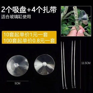 Two suction cups 4 cable ties each independent bagging imitation tree rattan accessories two screws 4 cable ties