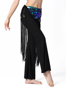 Sequin long tassel waist chain, belly dance waist chain, belly dance waist ornaments, dynamic belly dance waist chain Y1025