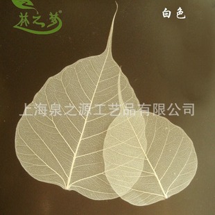 Diamond Bodhi leaf vein dried flower auspicious calligraphy painting material home decoration creative real leaf collage material