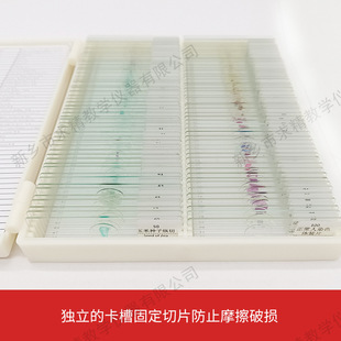 Origin supply quality 100 pieces of biological section specimen suit glass microscope specimen section suit