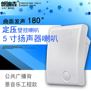 Rondisson public high quality 10W constant pressure background sound column speaker campus conference room wall Horn