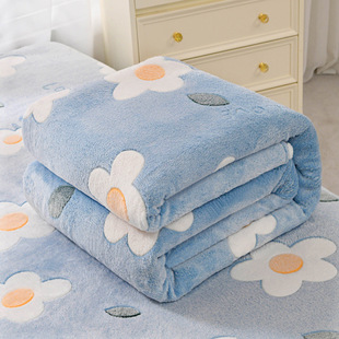 Double-sided Velvet Thickened Winter Blanket Bed Sheet Winter Bed Warm Coral Velvet Blanket Student Dormitory Single Blanket
