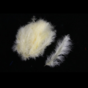 Net red pointed tail feather turkey feather DIY earrings necklace accessories small feather manufacturers wholesale