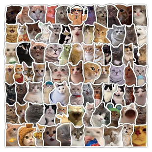 300 cat meme stickers cute funny ghost animal cat ins wind expression bag stem figure material hand book stickers