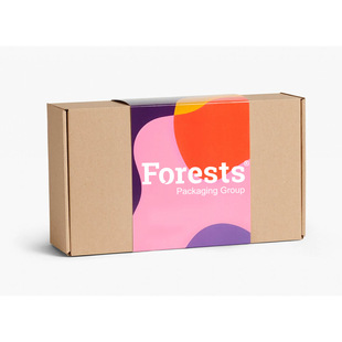 Custom single tile Kraft paper corrugated aircraft type with waist seal gift packaging box