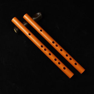 ABS Resin Transverse Flute for Beginners, Plastic Non-cracking, Vertical Blowing Flute, Recommended for Beginners, Six-hole Recorder for Grasping Week, Recorder