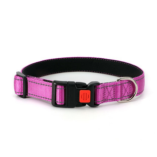 Amazon New Multicolor Nei Reflective Dragon Dog Collar Neck Pet Collar Adjustable Dog Collar Spot