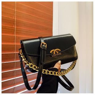 Fashionable Soft Leather Bag Women's 2025 Autumn and Winter New Fashionable Chain Bag Large Capacity Shoulder Crossbody Small Square Bag