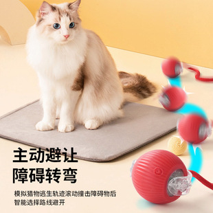 Cross-border cat toy small cat ball automatic home cat stick dog cat pet toy pet supplies