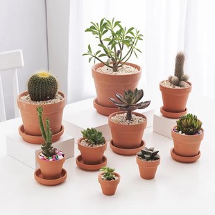 Factory direct red pottery flowerpot red clay flowerpot pottery ceramic flowerpot size green potted flowerpot wholesale