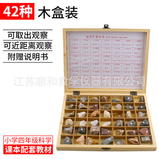 24 kinds of mineral rock fossil specimen 401 pocket rock mineral specimen copper mine geography geology teaching aid