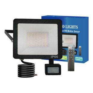 New arrival LED remote control version PIR human sense flood light outdoor corridor courtyard home lighting waterproof Sun Protection