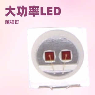 LED Patch Lamp Beads 3030 Double Crystal 1W 660/665 Band Plant Lamp Special Engineering Lamp Beads Copper Bracket