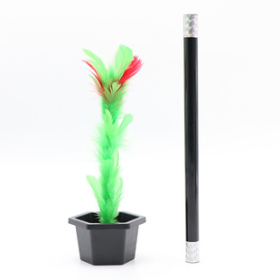 Magic Wand Flower-changing Empty Plate Flower Children's Stage Talent Show Close-up Magic Props Set puzzle toys