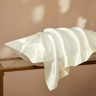 40 Mmi 100 Heavy Silk Pillowcase Mulberry Silk Summer Silk Beauty Single Ice Silk Pillowcase Pair