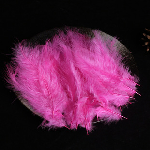 Net red pointed tail feather turkey feather DIY earrings necklace accessories small feather manufacturers wholesale
