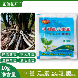 Rooting powder Root growth Seedling growth Biological transplantation Fixed plants Rooting trees Flower transplanting Seedling planting Cutting Rooting powder