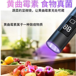 Purple light lamp identification special vegetable Bordeaux liquid blue alum detection pen 365nm with digital flashlight fluorescent agent