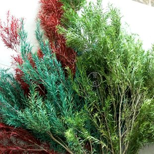 Вечный Melaleuca Золотой сушеный цветок Вечный цветок оптом Золотая ароматная ива домашний цветок Организация рождественских украшений Фабрика Юньнань оптом