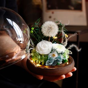 Yongshenghua Dandelion Finished Products Wholesale Cross-border E-commerce Hot Selling Valentine's Day Gift Girlfriend Accompanying Gift