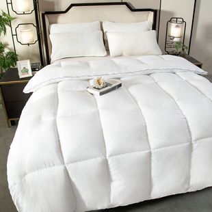 Factory direct feather velvet quilt gift quilt gift box hotel quilt core group purchase activity gift quilt winter quilt wholesale
