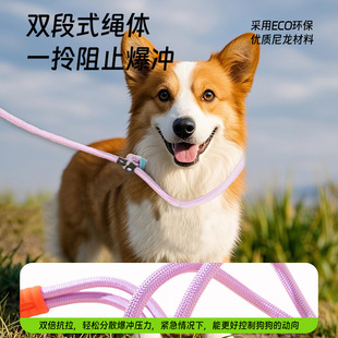 Cross-border best selling dog leash bubble cotton dog walking leash pet puppy P leash dog leash dog leash dog leash wholesale