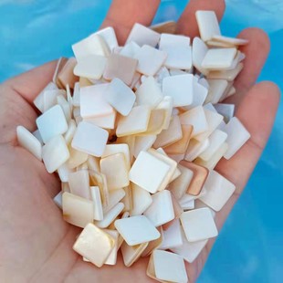 Manufacturers supply pearl shell particles Round Square semicircle mosaic Shell Patch white shell White Butterfly Shell Square