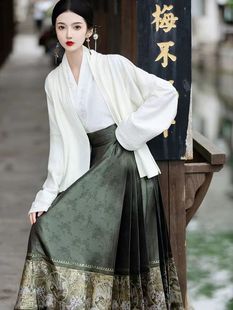 Новый китайский стиль {Tianwu Xianfan} костюм юбки с конским лицом