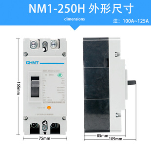 CHint Molded CAse Circuit BreAker NM1-250H/2300 2P 100A 125A 160A HouseHold Air SwitcH 200A