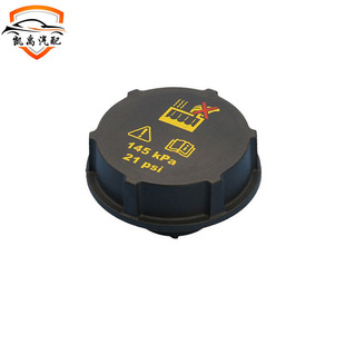 Factory Direct sales applicable to 13 -19 Ford engine expansion tank cover fuel tank cover DG93-8101-AA