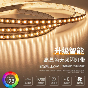 LED intelligent lamp with stepless dimming concealed linear lamp atmosphere wardrobe wine cabinet lamp living room ceiling lamp
