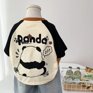 [100 Cotton] Boys Short-sleeved Western Style Boys 2024 Summer New T-shirt Children's Half-sleeved Cartoon Doll Trendy
