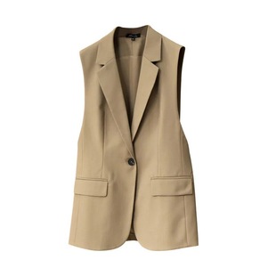New Korean-style high-end fashion simple temperament capable versatile small suit 2025 split vest women's fashion
