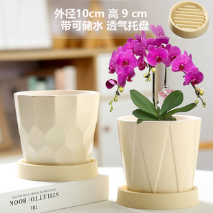 Cream Style Ceramic Flower Pot Nordic Household Simple Ins Light Luxury Phalaenopsis Fleshy Green Plant Bonsai Pot