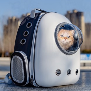 Космическая капсула, кошка, портативный выход, прозрачный, собака, собака, домашнее животное, летняя ручная ручная ручная большая сумка