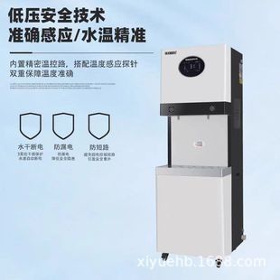 Step-by-step water boiler hall water dispenser that is hot campus school station workshop water purifier batch
