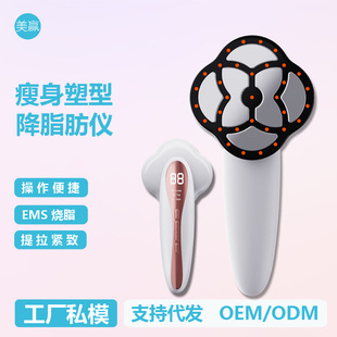 The new fat-reducing and fat-lowering instrument slimming and shaping EMS hot compress and fat explosion introduction handheld phototherapy body rejuvenation beauty instrument