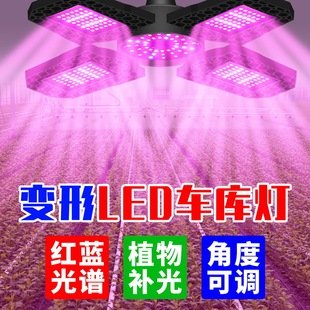 Folding led plant lamp indoor red and blue spectrum succulent growth lamp E27 deformation seedling planting lamp 100W greenhouse