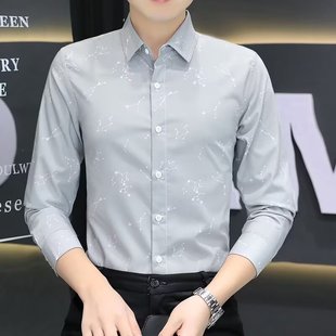Spring New Korean-style Long-sleeved Shirt Men's Printed Casual Slim-fit Shirt Men's Handsome Trendy Men's Clothing