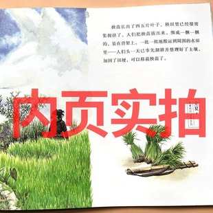 Книга с картинками китайской кухни Ю Хун в третьем и четвертом классах