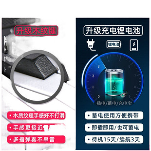 Charging Smart 61 Key Multifunctional Electronic Piano Beginners Adult Children Beginner Kindergarten Teachers Small Piano Play
