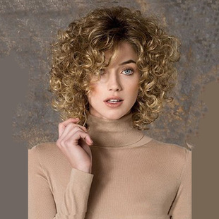Promotion of foreign trade promotion European and American AliExpress ebay high temperature silk fluffy short curly hair wig 8260-A