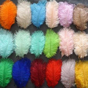 in stock wholesale color ostrich feathers 15-20cm wedding ornaments net red wall decoration feather wall bouquet diy material