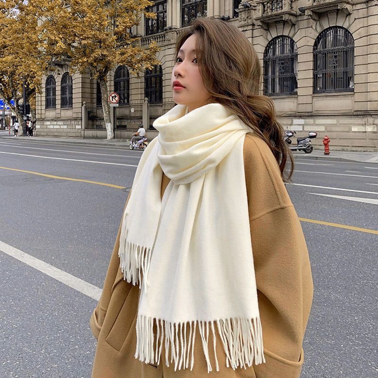 Autumn and Winter Tassel Imitation Cashmere Scarf 2026 New Korean Style Solid Color Shawl Dual-Use Thickened Warm Versatile Neck Scarf