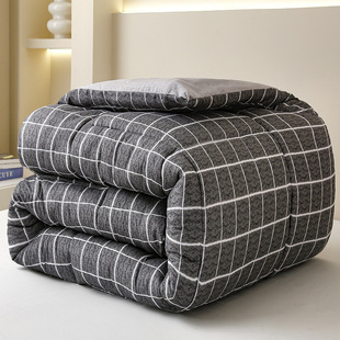 Factory wholesale quilt winter thick pure a cotton single dormitory winter quilt double bedding single spring and autumn quilt core